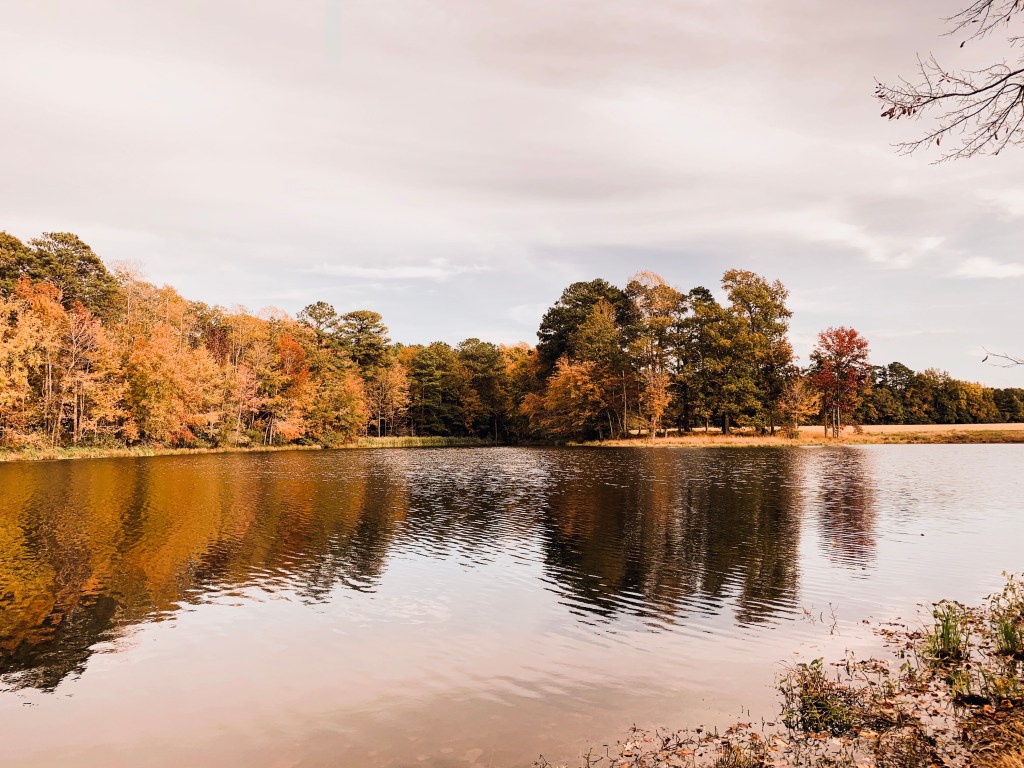 Get Yourself Together